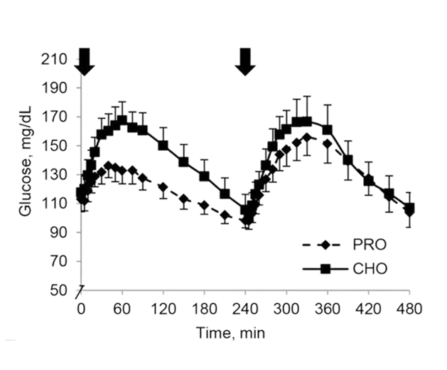 Figure 5 The second-meal phenomenon whereby protein intake at breakfast improves glycemia response to subsequent meals.