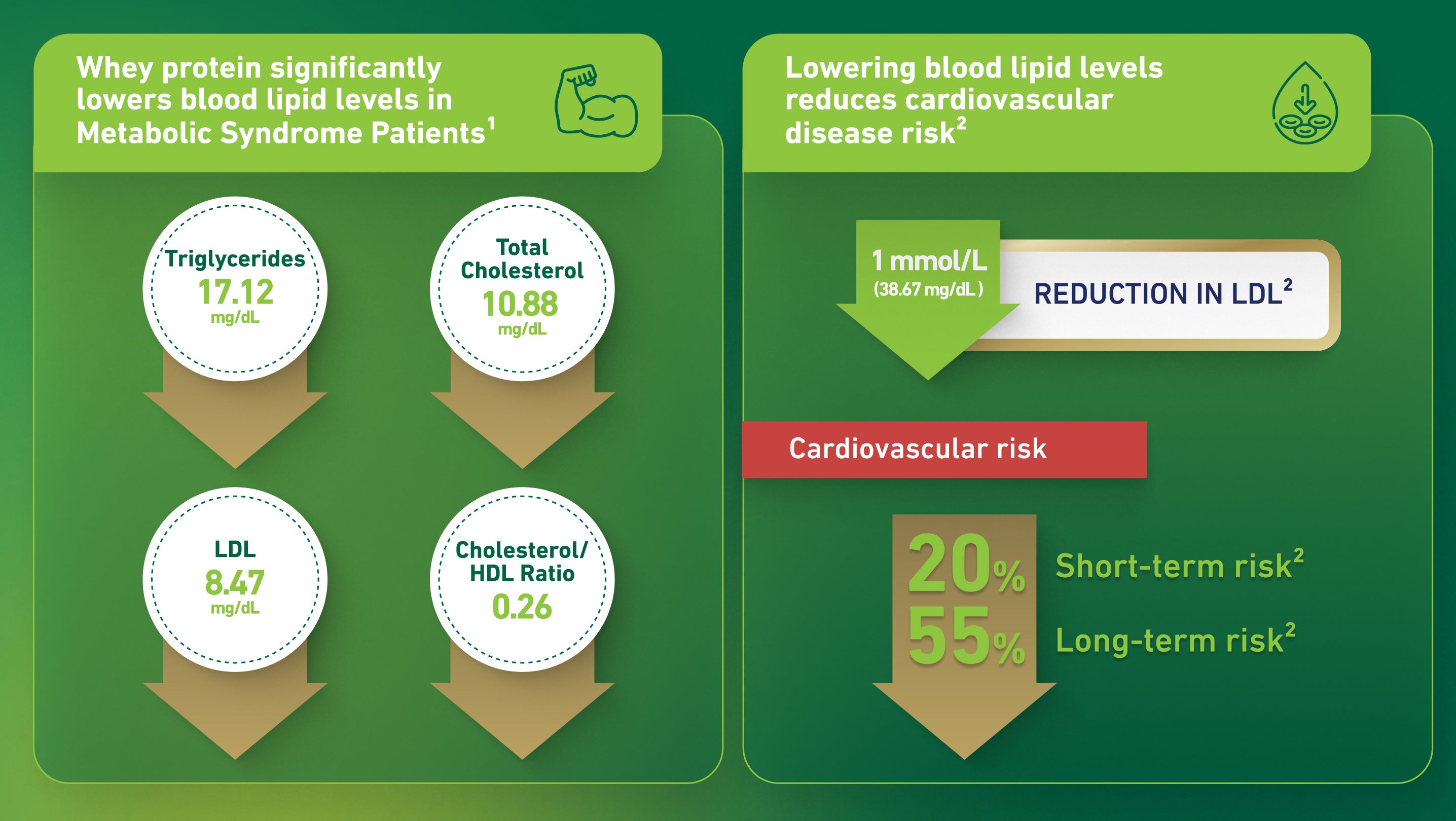 Figure 2 Whey Protein: Proven Benefits for Heart Health