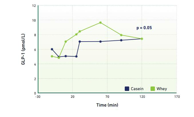 Gambar 2 Kadar GLP-1 Jauh Lebih Tinggi Setelah Pemberian Protein Whey