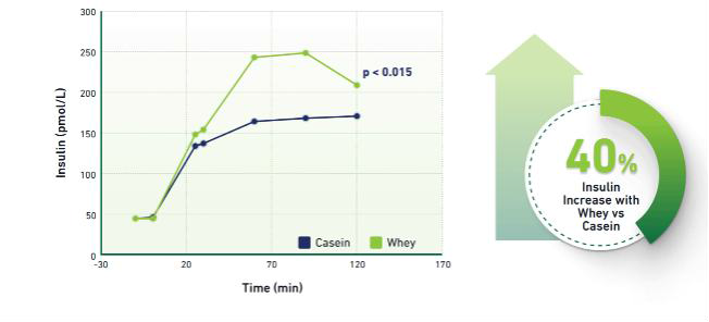 Gambar 4 Kadar insulin jauh lebih tinggi setelah pemberian protein whey