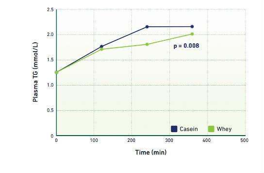 Gambar 6 Kadar trigliserida darah jauh lebih rendah setelah pemberian protein whey