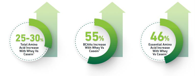 Gambar 7 Protein whey menunjukkan peningkatan Asam Amino Total, BCAA, dan EAA yang lebih besar dengan khasiat insulinotropik yang kuat
